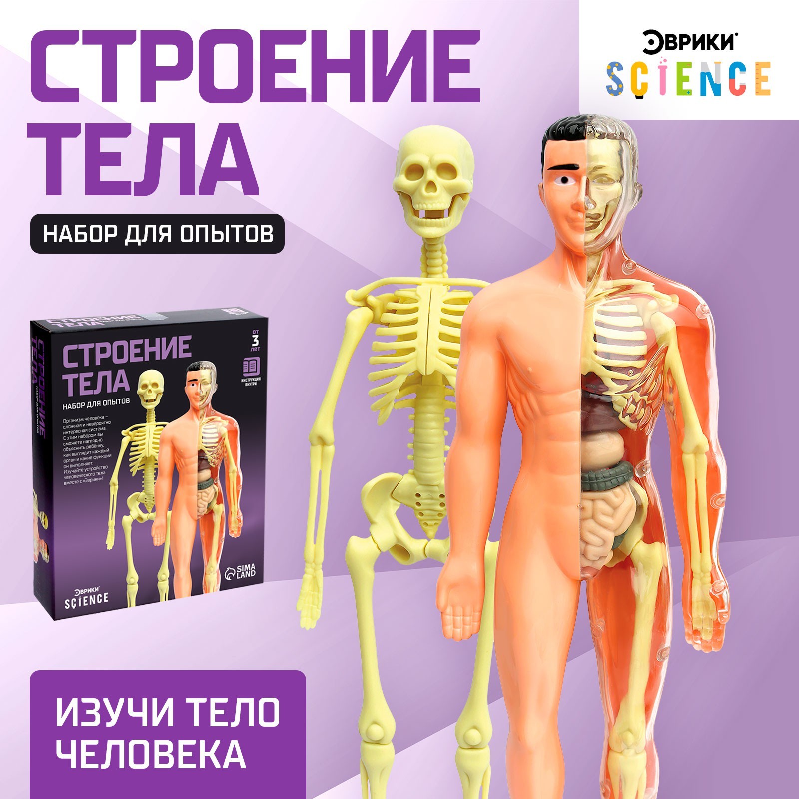 НАУЧНЫЙ ОПЫТ СТРОЕНИЕ ТЕЛА