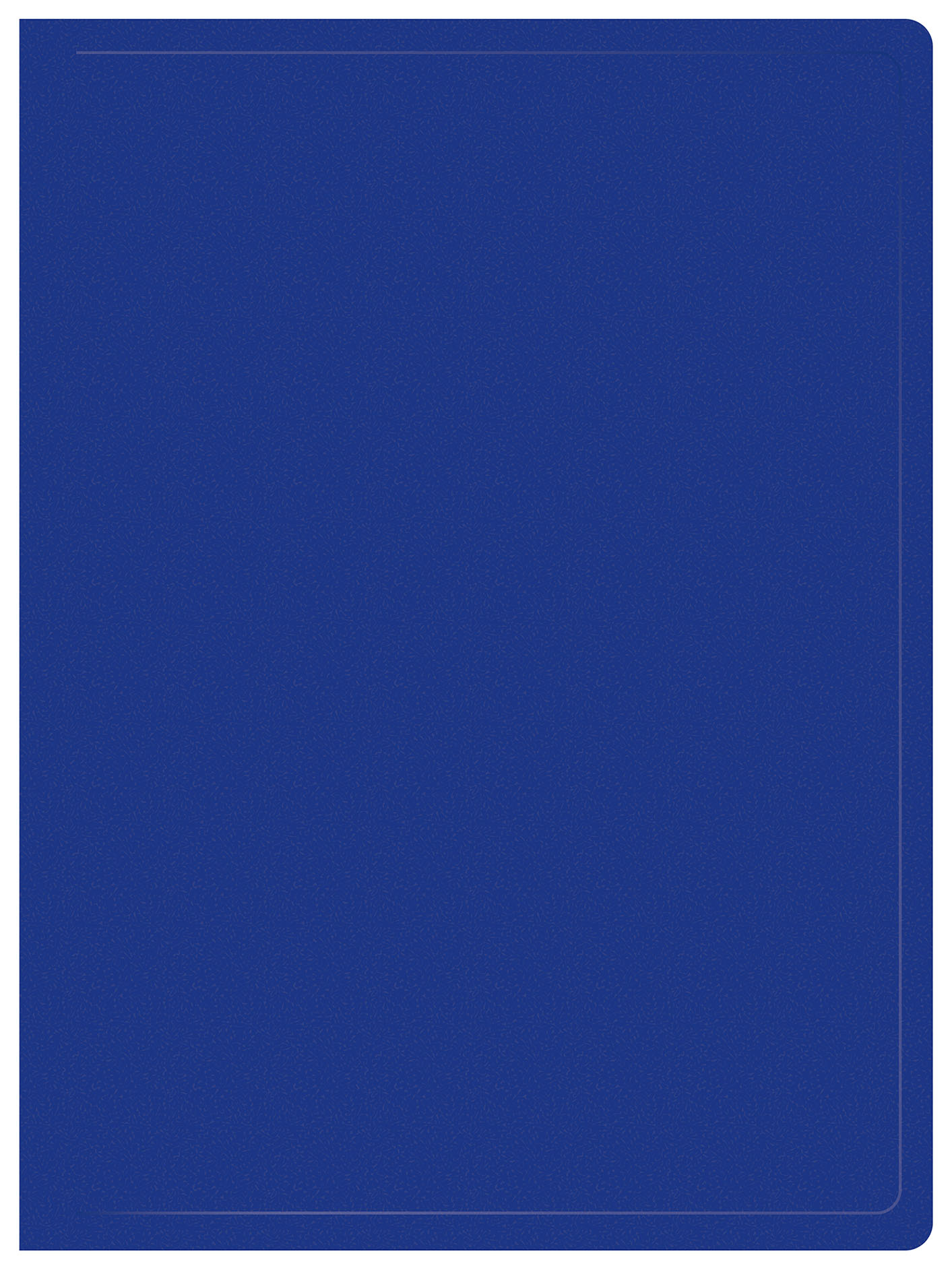ПАПКА С 20 ПРОЗР.ВКЛАД. BURO -ECB20BLUE A4 ПЛАСТИК 0.5ММ СИНИЙ