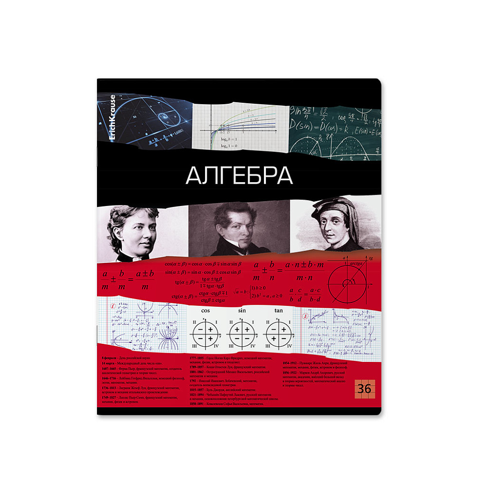 ТЕТРАДЬ ОБЩАЯ УЧЕНИЧЕСКАЯ ERICHKRAUSE TIMELINE, АЛГЕБРА, 36 ЛИСТОВ, КЛЕТКА